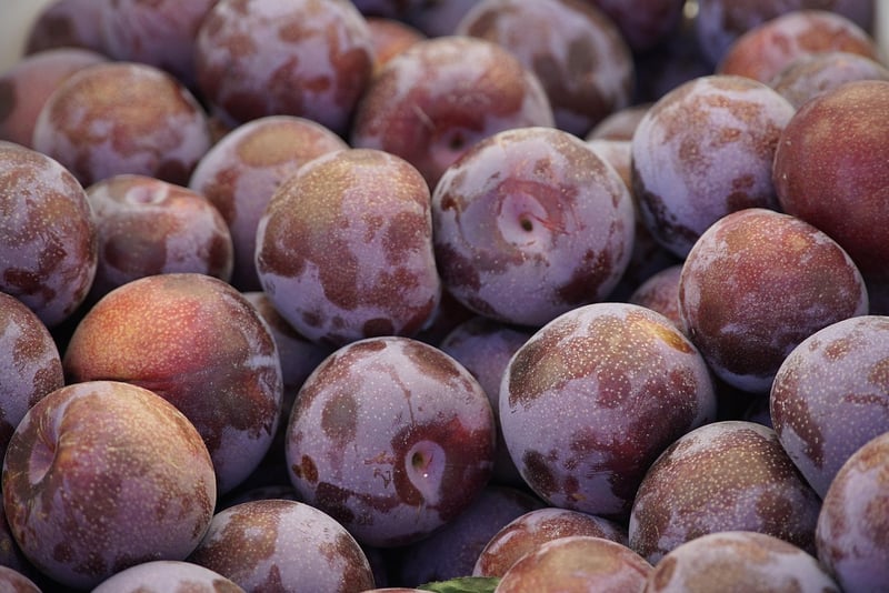 Fruitful Harvests